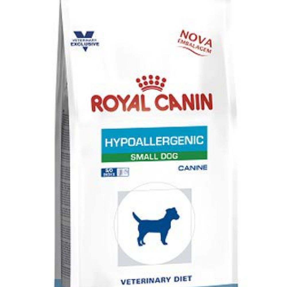 royal hypoallergenic small dog